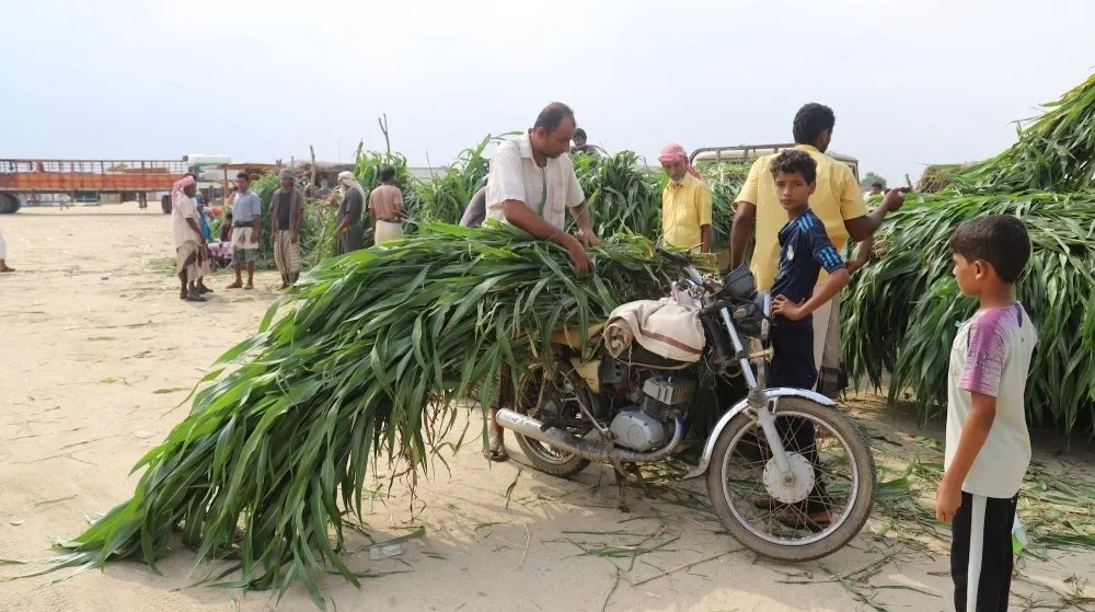 Afghanaid Climate Change Adaptation & Rural Livelihood (CARL) Project